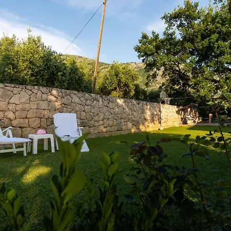 Πανσιόν Belenum
